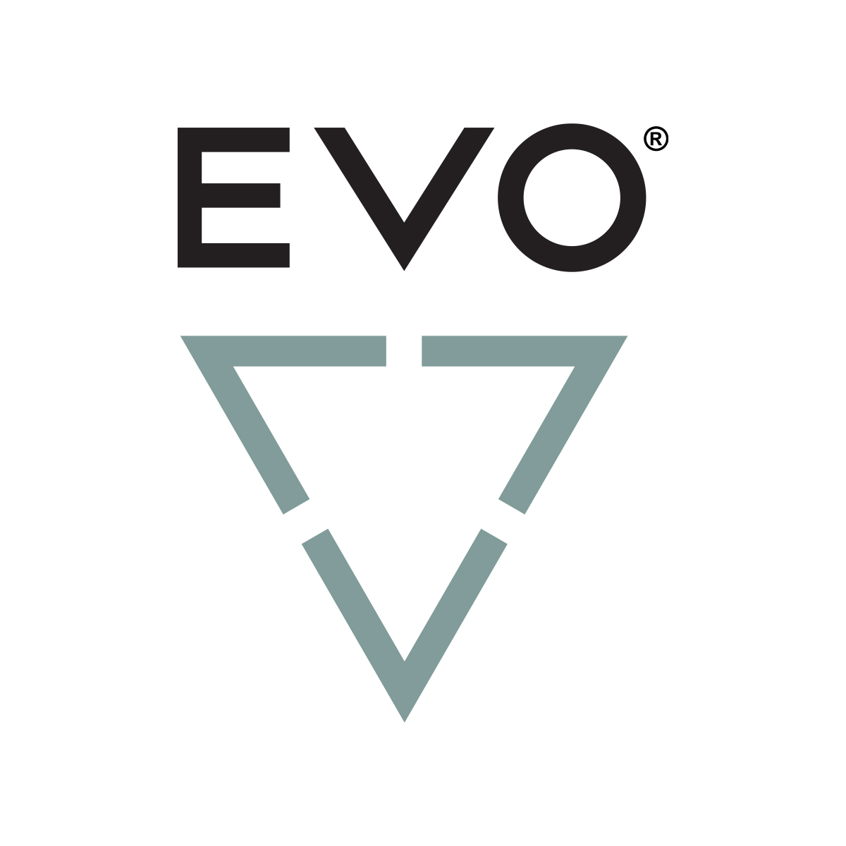 Home Page EVO